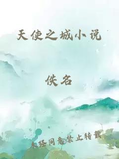 天使之城小說(shuō)