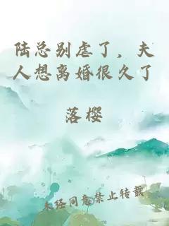陸總別虐了，夫人想離婚很久了