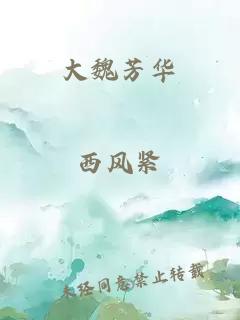 大魏芳華