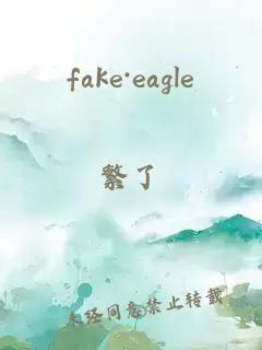 fake·eagle
