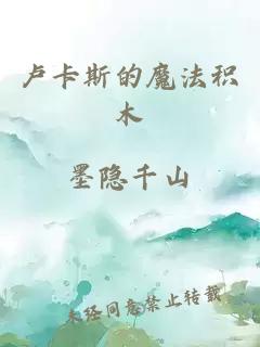盧卡斯的魔法積木