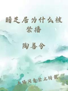 暗芝居為什么被禁播