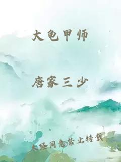 大龜甲師